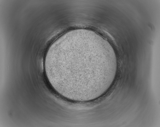 X0000112920020200909141322