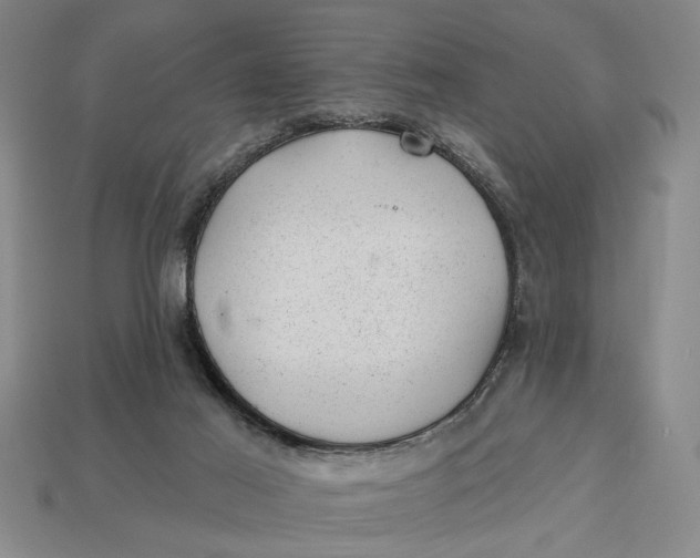 X0000112920021200909141322