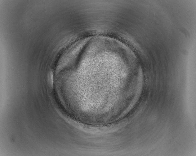 X0000112920022200909141322