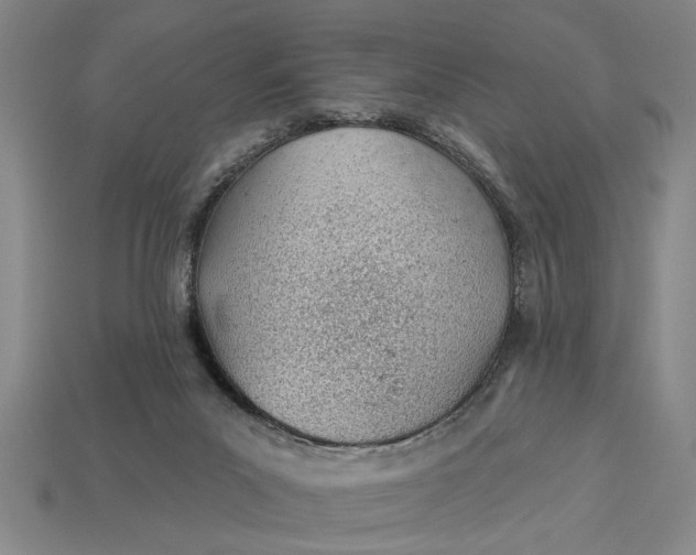 X0000112920023200909141322