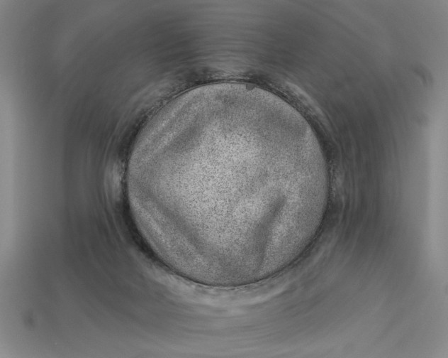 X0000112920026200909141321