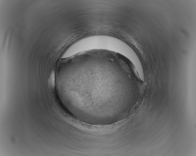 X0000112920027200909141321