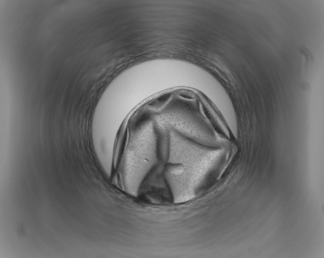 X0000112920029200909141321