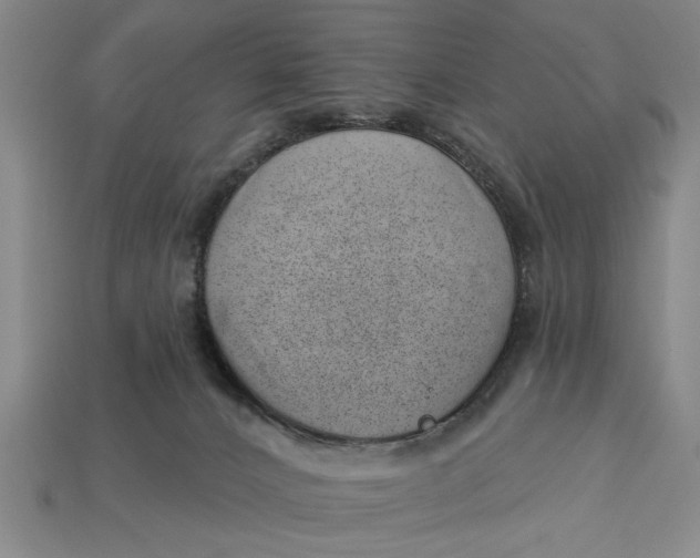 X0000112920032200909141321