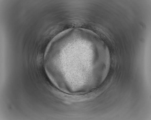 X0000112920034200909141321