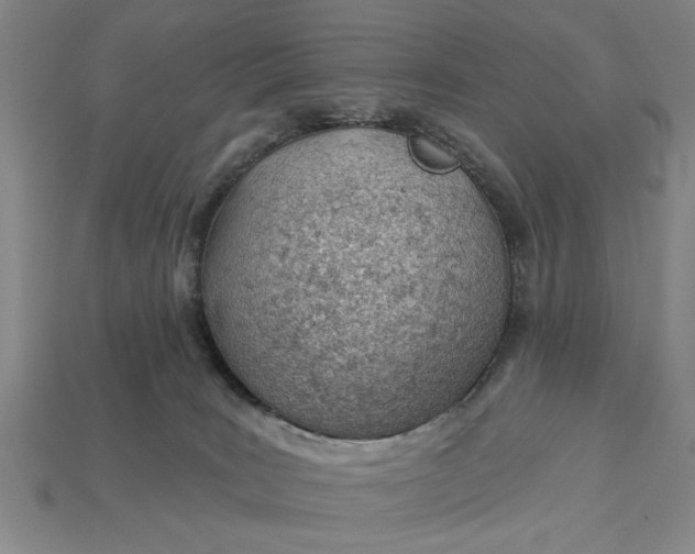 X0000112920035200909141321