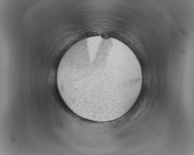 X0000112920036200909141321