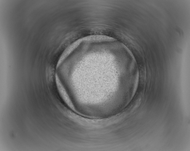 X0000112920038200909141321