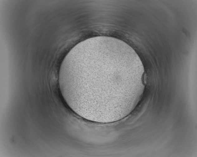 X0000112920040200909141321