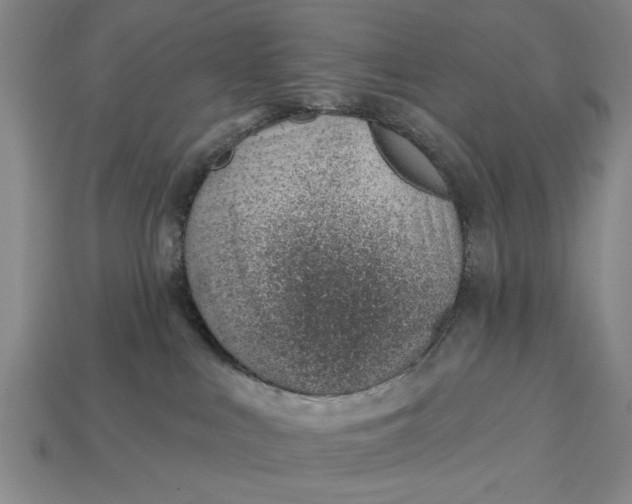 X0000112920043200909141321