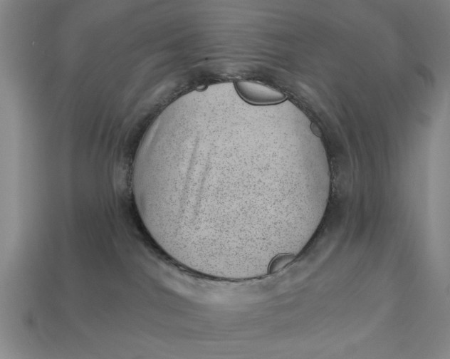X0000112920044200909141321