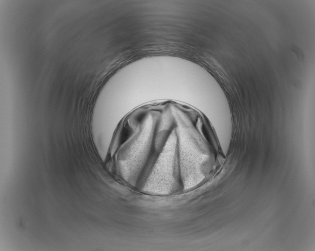 X0000112920045200909141321