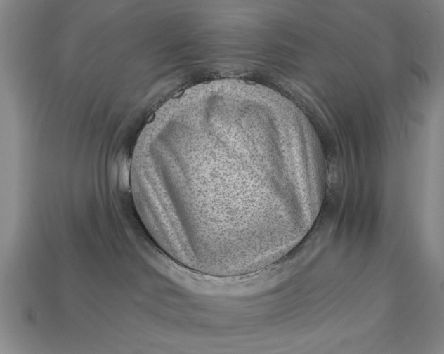 X0000112920046200909141321
