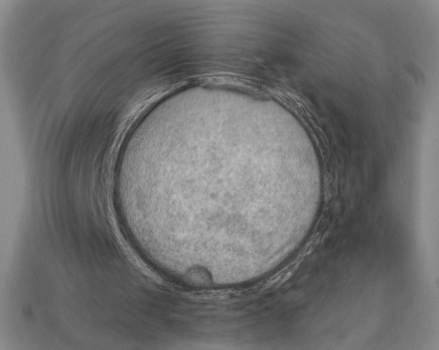 X0000112920049200909141321