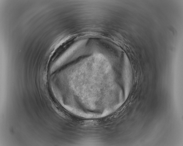 X0000112920050200909141321