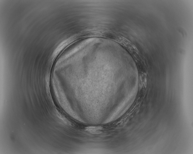 X0000112920051200909141321