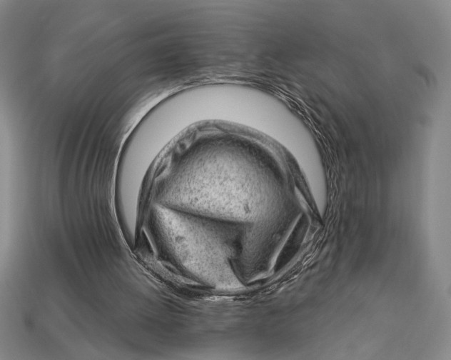 X0000112920052200909141321