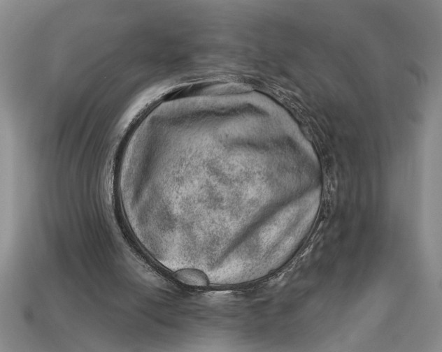 X0000112920054200909141321