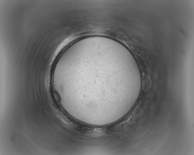 X0000112920056200909141321