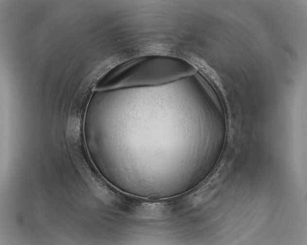 X0000112920057200909141321