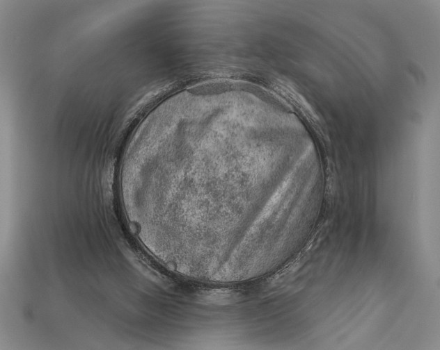 X0000112920058200909141321