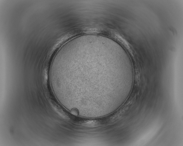 X0000112920059200909141321