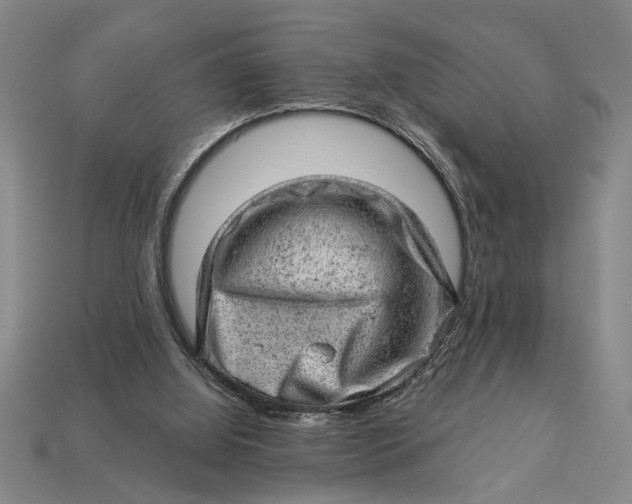 X0000112920060200909141321