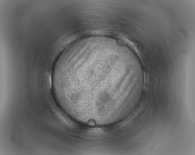 X0000112920061200909141321
