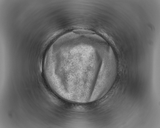 X0000112920062200909141321