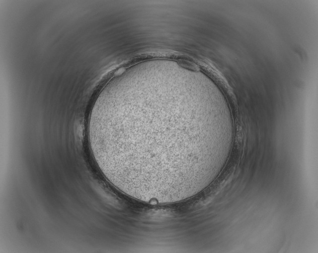 X0000112920063200909141321