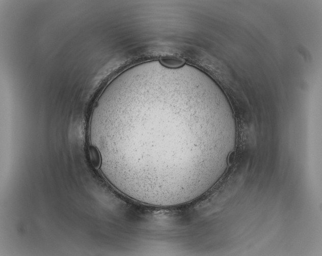 X0000112920064200909141321