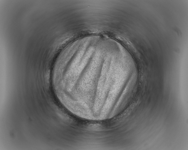 X0000112920066200909141321