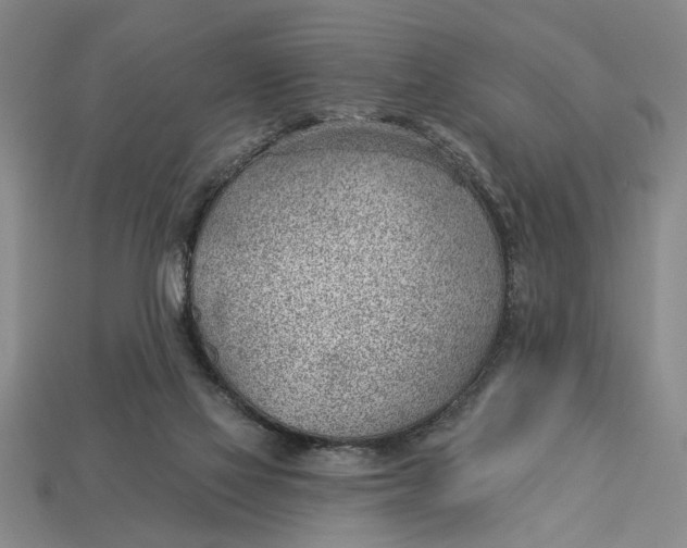 X0000112920069200909141321
