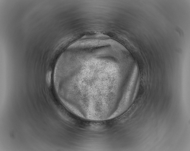 X0000112920070200909141321