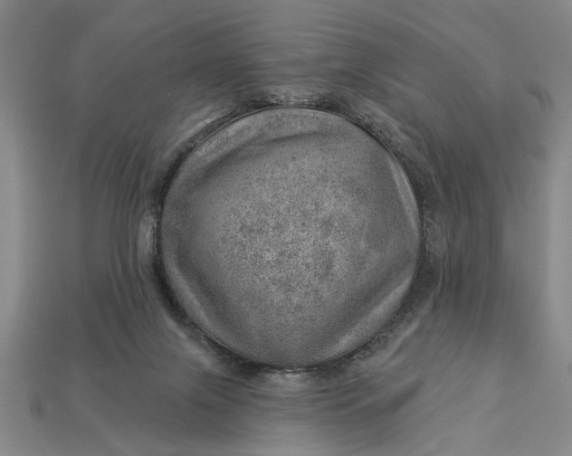 X0000112920071200909141321