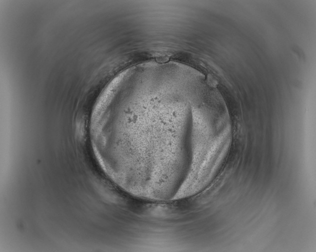 X0000112920074200909141321