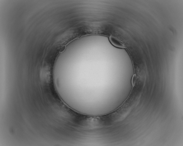 X0000112920080200909141321
