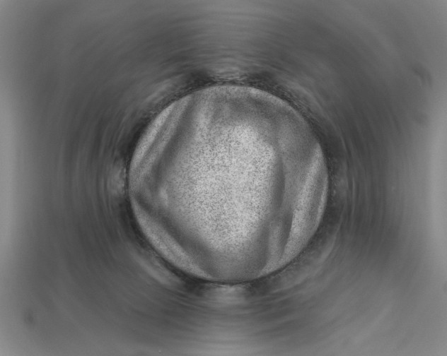 X0000112920081200909141321