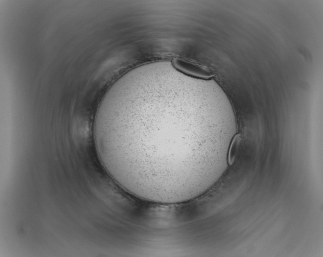 X0000112920084200909141321
