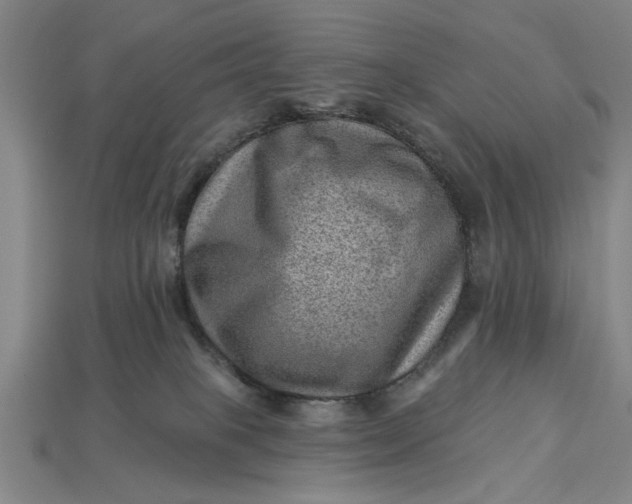 X0000112920085200909141321