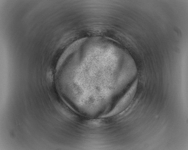 X0000112920086200909141321