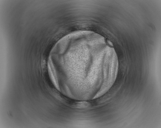 X0000112920087200909141321