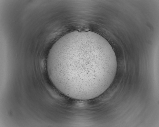 X0000112920088200909141321