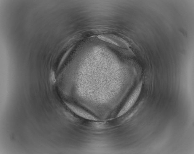 X0000112920089200909141321