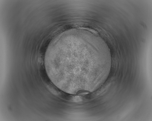 X0000112920091200909141321