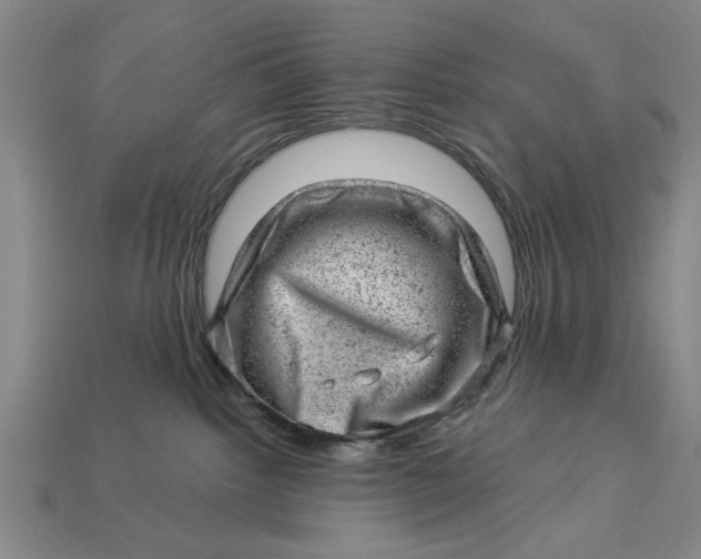 X0000112920092200909141321