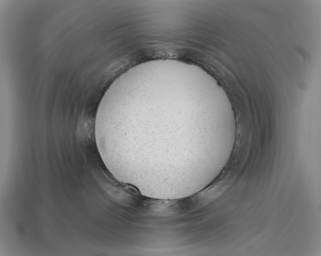 X0000112920096200909141321