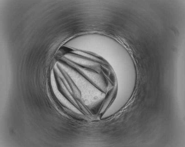 X0000112920097200909141321