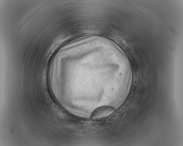 X0000112920098200909141321