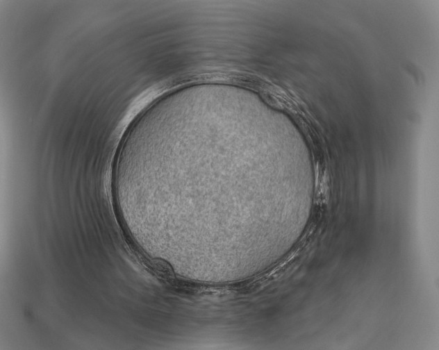 X0000112920099200909141321